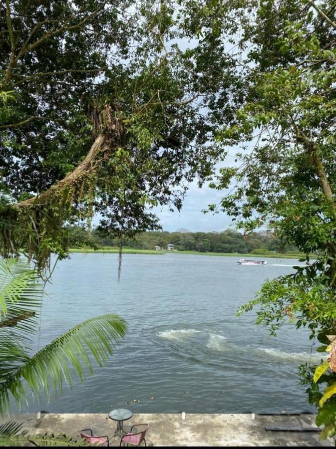 Casa Marbella Vila Tortuguero Exterior foto