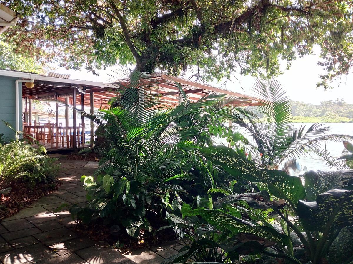 Casa Marbella Vila Tortuguero Exterior foto